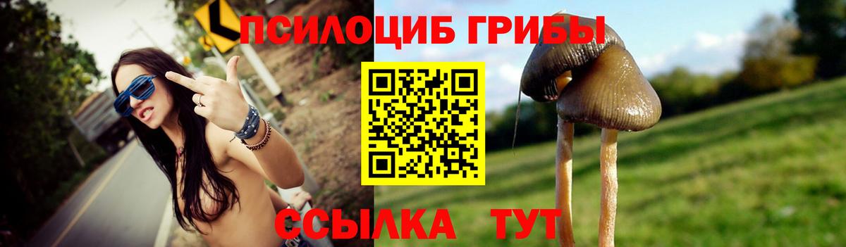 Псилоцибиновые грибы Magic Shrooms  Вход с VPN  Белгород 